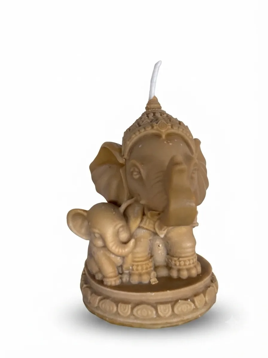 Ganesha e o Filhote — imagem 8